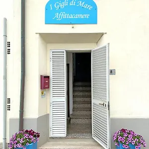 I Gigli Di Mare Affittacamere Marina Di Bibbona
